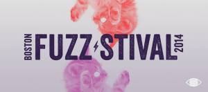 Fuzzstivall